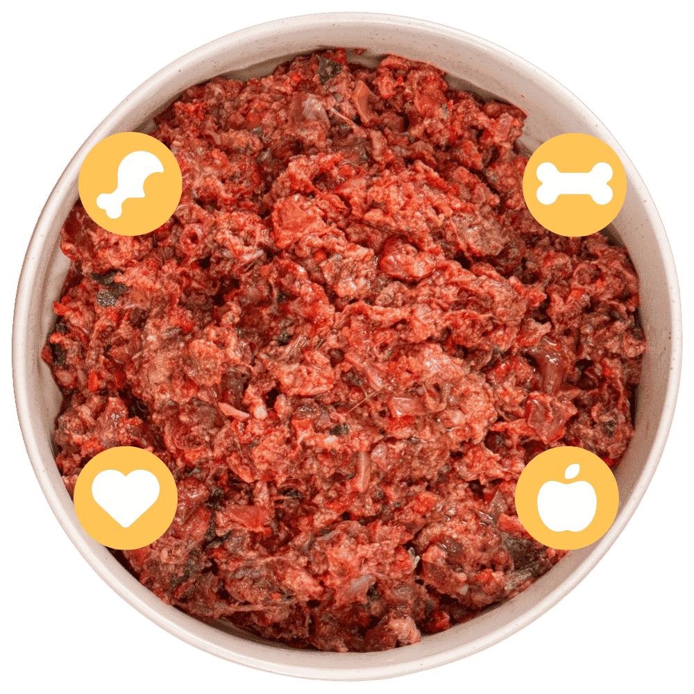 bol iconos 1