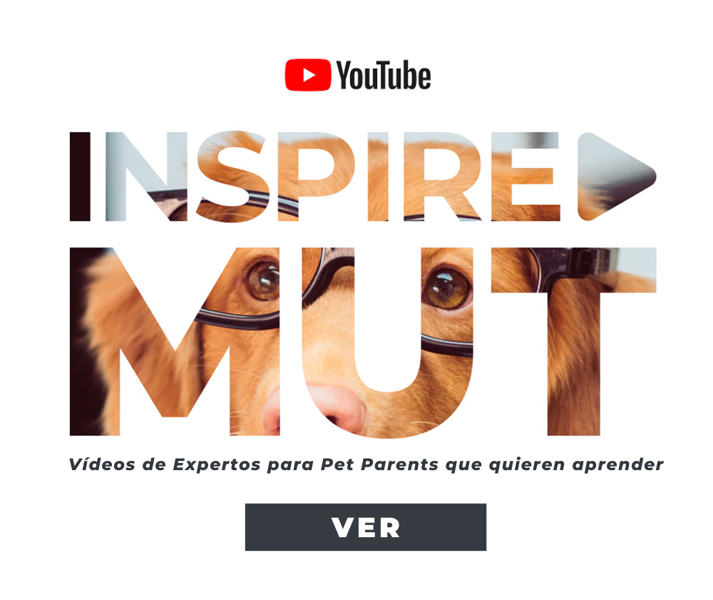 en la 1a compra 4.png